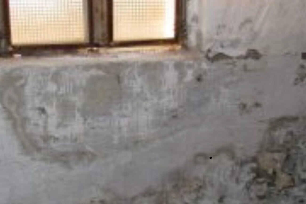 Von schimmel befallene Wände nach Wasserschaden